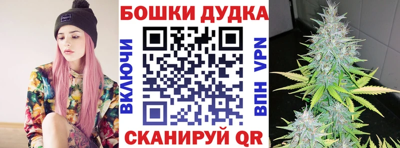 APVP Вольск
