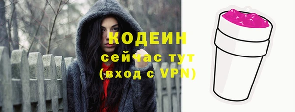 молекула духа Ладушкин