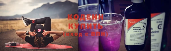 молекула духа Ладушкин