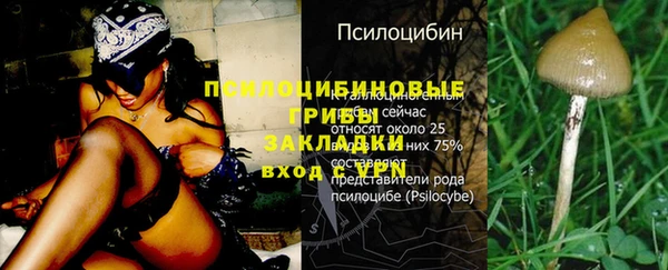 прущие крисы Краснотурьинск