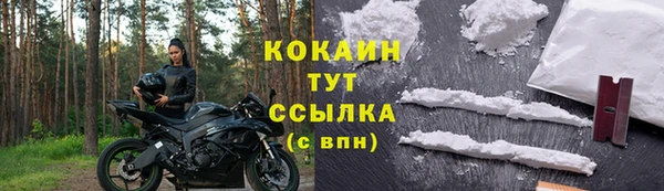 молекула духа Ладушкин