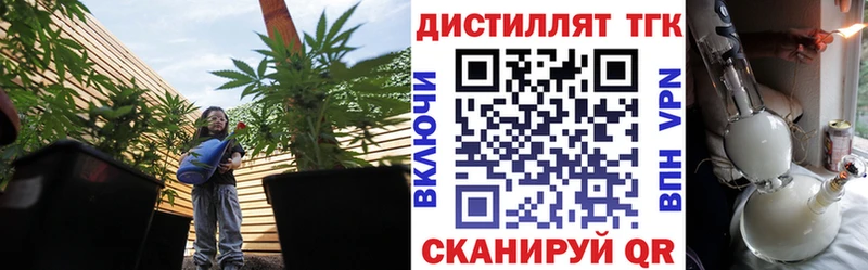 Дистиллят ТГК концентрат  Купить где  Вольск 