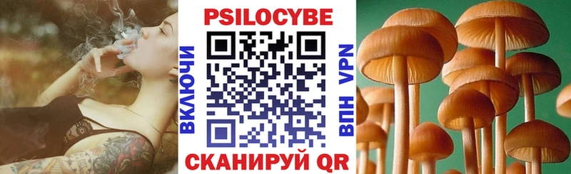 Купить где  Вольск  Псилоцибиновые грибы Psilocybe 